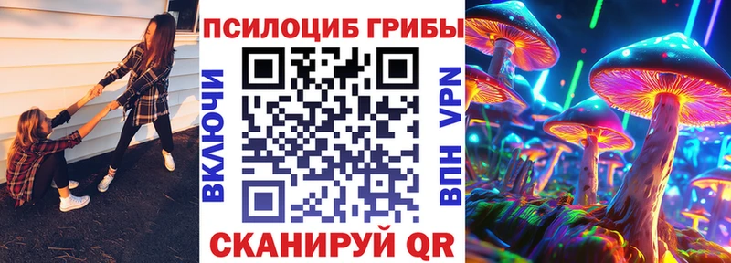 Псилоцибиновые грибы GOLDEN TEACHER  блэк спрут ссылка  Арамиль 