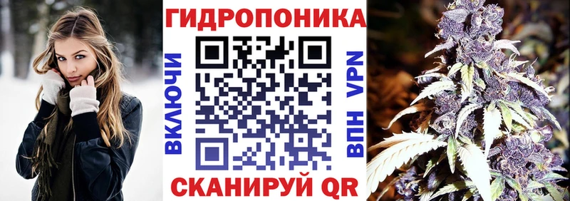 где можно купить   Арамиль  Конопля AK-47 